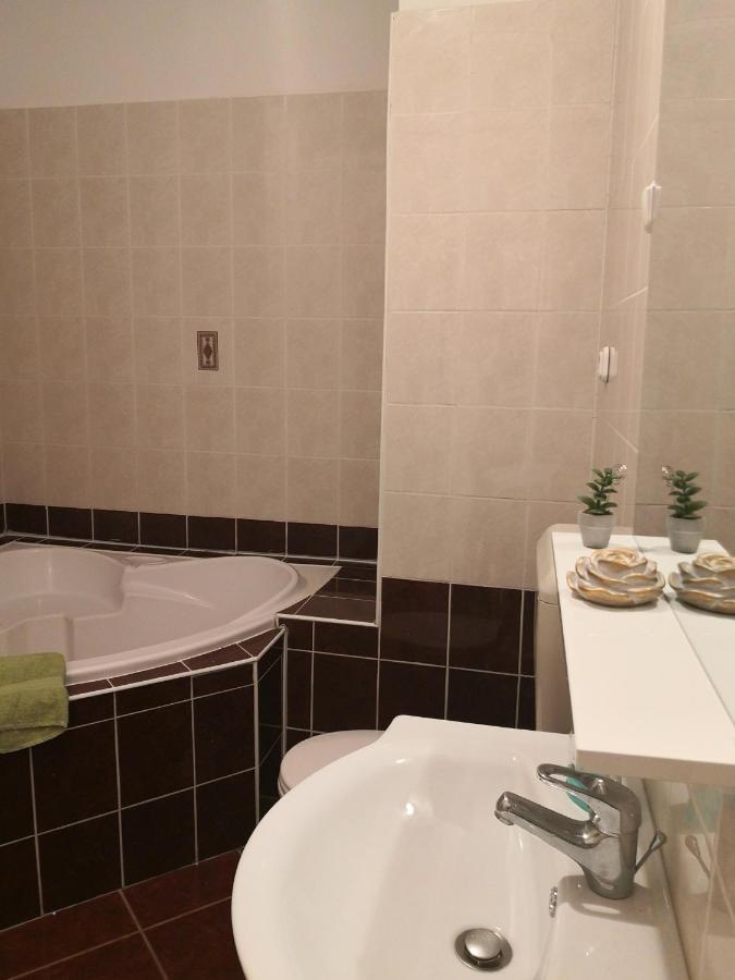 Oasis Apartman سيغيد المظهر الخارجي الصورة