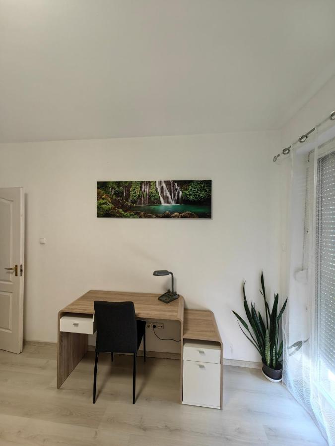 Oasis Apartman سيغيد المظهر الخارجي الصورة